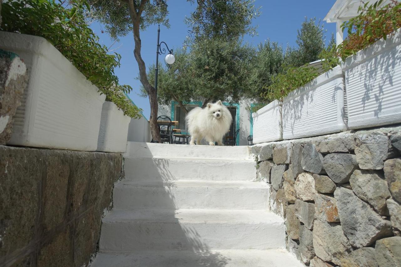 Il Capriccio Guesthouse Ponza Exterior photo